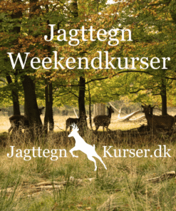 jagttegn weekendkurser