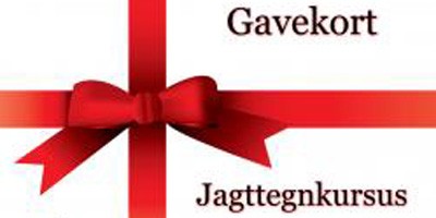 gavekort