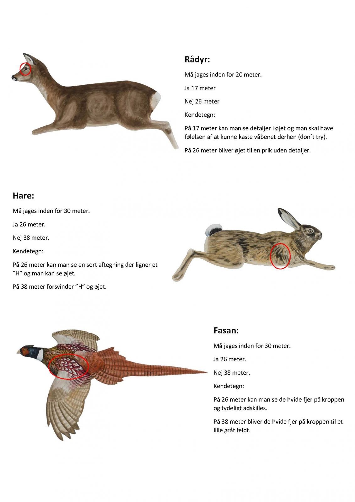 Afstandsbedømmelse jagttegn 2018 side1