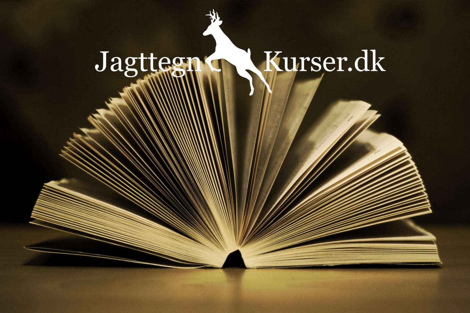 Information til Jagttegn