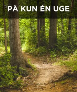 Jagttegn_sommerkursus_produkt (3)